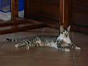 P1010019.JPG