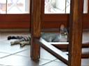 P1010020.JPG