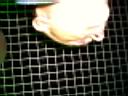 DSCK0029.JPG