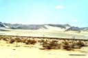 DESERTO2.JPG