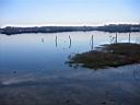 IMG_1009.JPG
