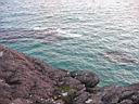 IMG_1023.JPG