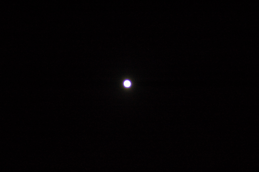 DSC_0164.JPG