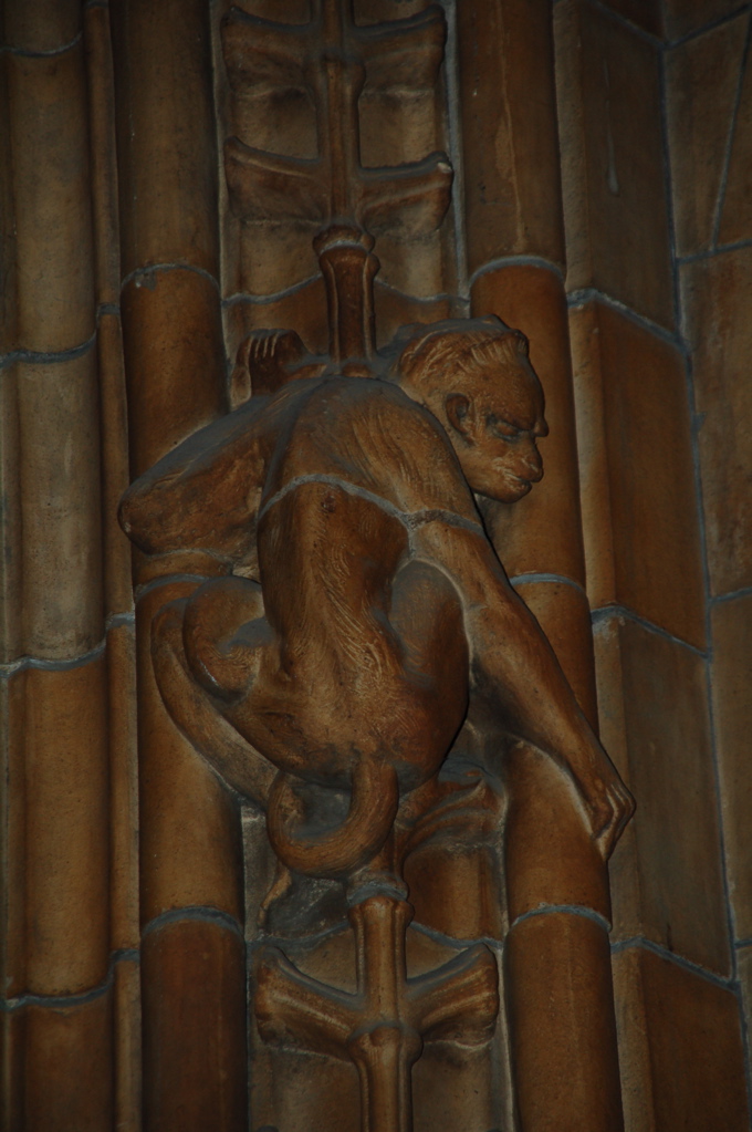 DSC_0343.JPG
