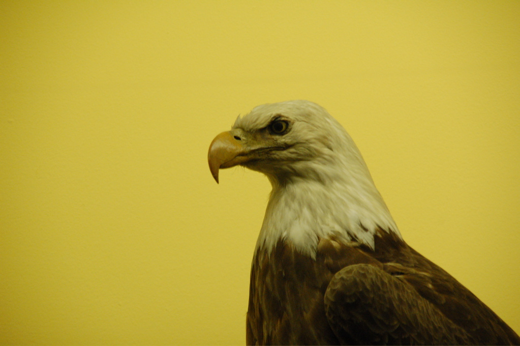 DSC_0363.JPG