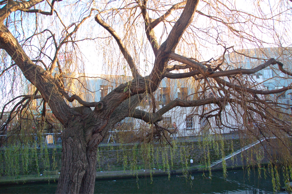 DSC_0106.JPG