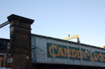 DSC_0110.JPG