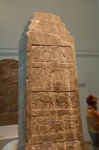DSC_0252.JPG