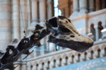 DSC_0342.JPG