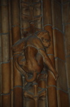 DSC_0343.JPG