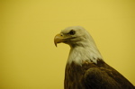 DSC_0363.JPG