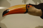 DSC_0367.JPG
