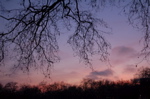 DSC_0414.JPG