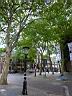 P1010156.JPG
