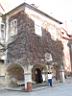 riccio4.JPG