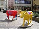 DSCN0356.JPG
