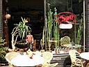 DSCN0358.JPG