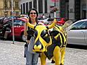 DSCN0408.JPG