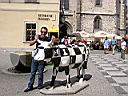 DSCN0412.JPG