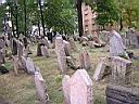 DSCN0424.JPG