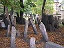 DSCN0426.JPG
