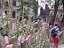 DSCN0427.JPG