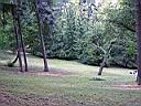 DSCN0527.JPG