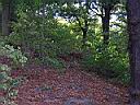 DSCN0528.JPG