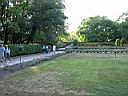DSCN0533.JPG