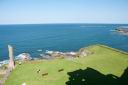DSC_0010-2.jpg
