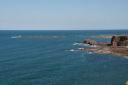DSC_0027.jpg