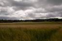 DSC_0207.jpg