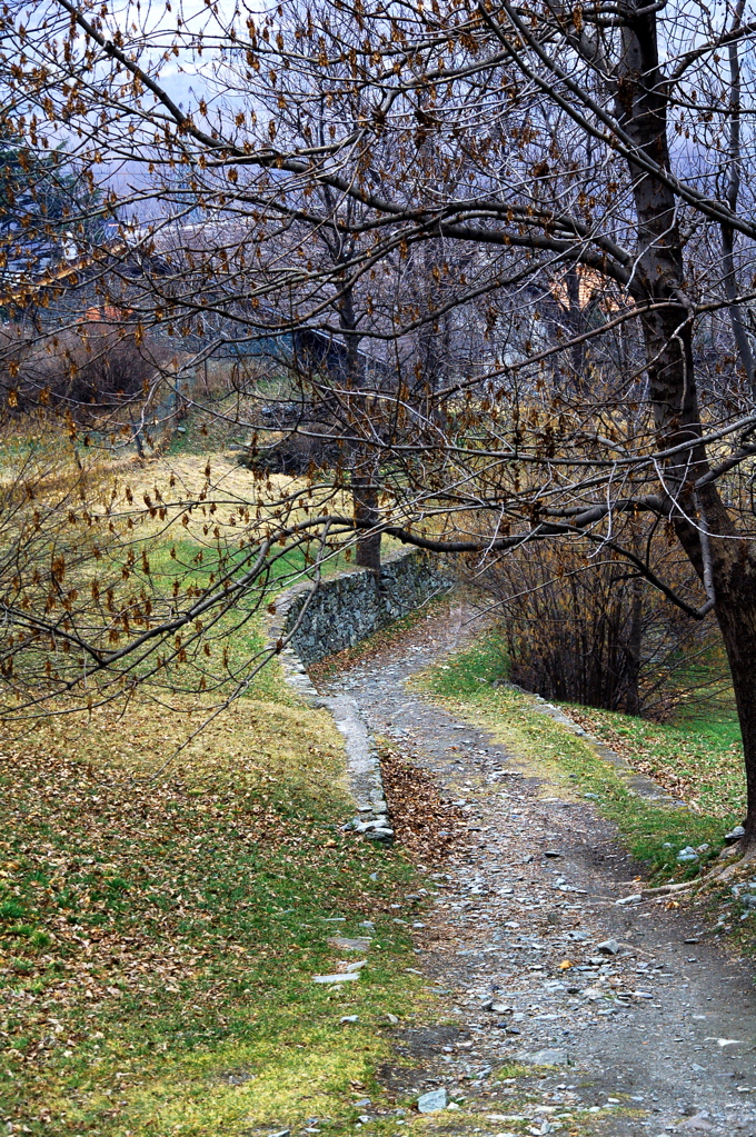 DSC_0037